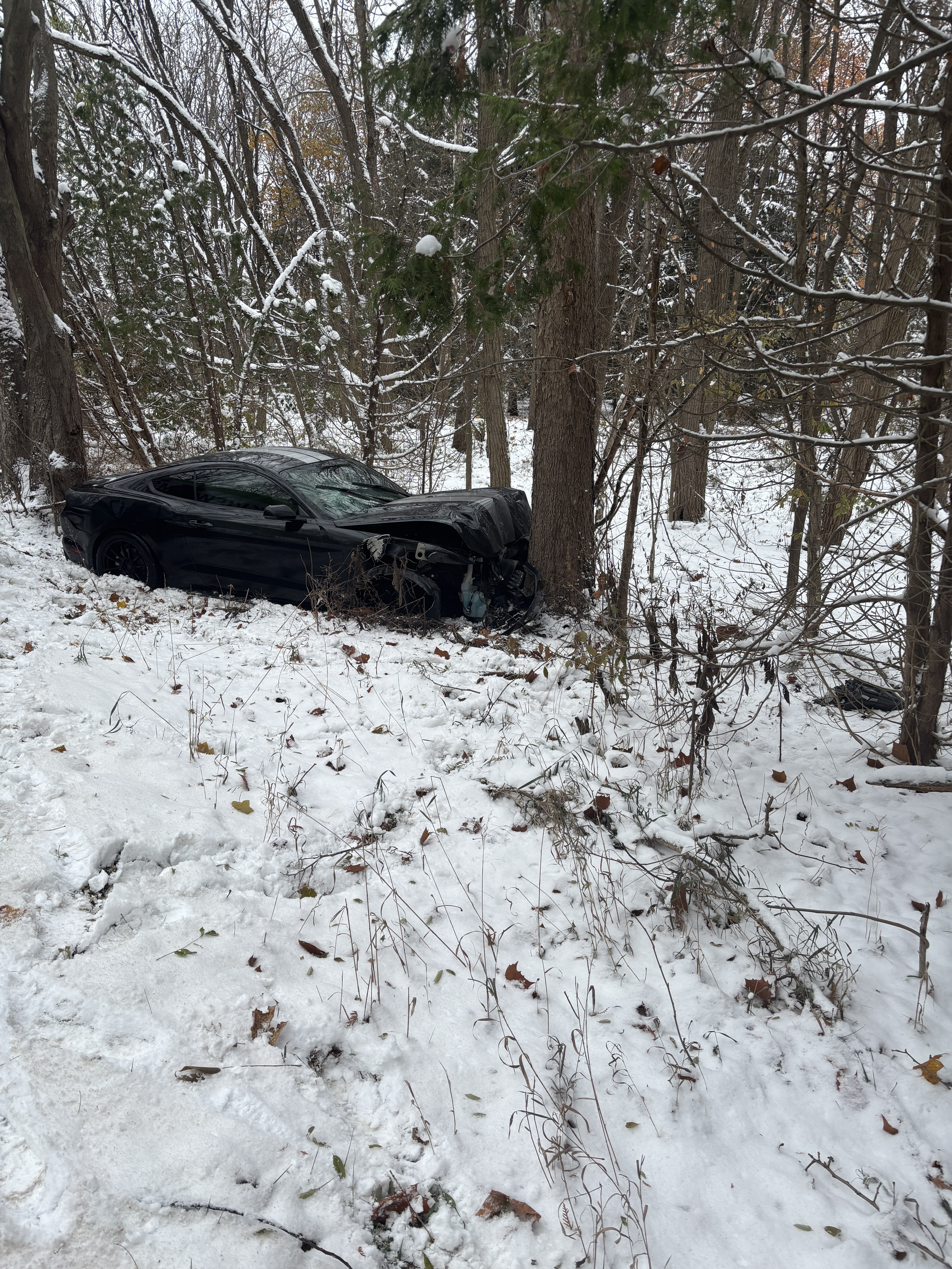 Kendallville Driver Crashes Into Tree; 4-Year-Old Passenger Injured