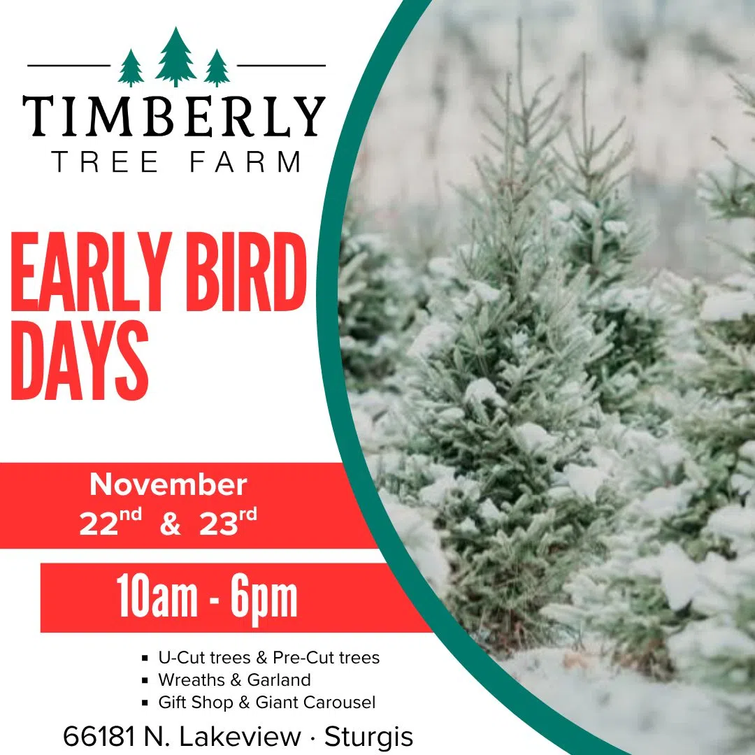 Get a Head Start: Timberly Christmas Tree Farm Opens Early for First Time