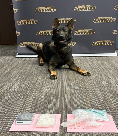 Big Branch County Drug Bust on U.S. 12: Angola Woman Arrested