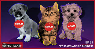 Pet Scam Season: Indiana Officials Sound Alarm on Fake Ads and Fraud Calls