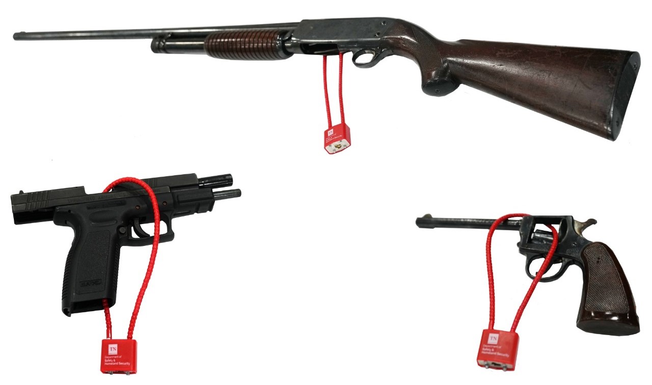 Michigan Panel Pushes Bold Gun Overhaul—Assault Weapon Ban at Center of Proposal