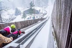 Ready, Set, Sled! Corporate Toboggan Speed Challenge Hits the Track Tomorrow