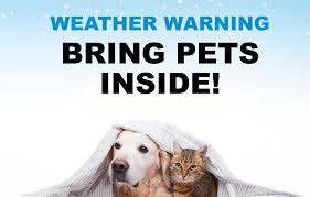 Bitter Cold Returns: Dangerous Wind Chills Ahead -- Keep Pets and Livestock Safe