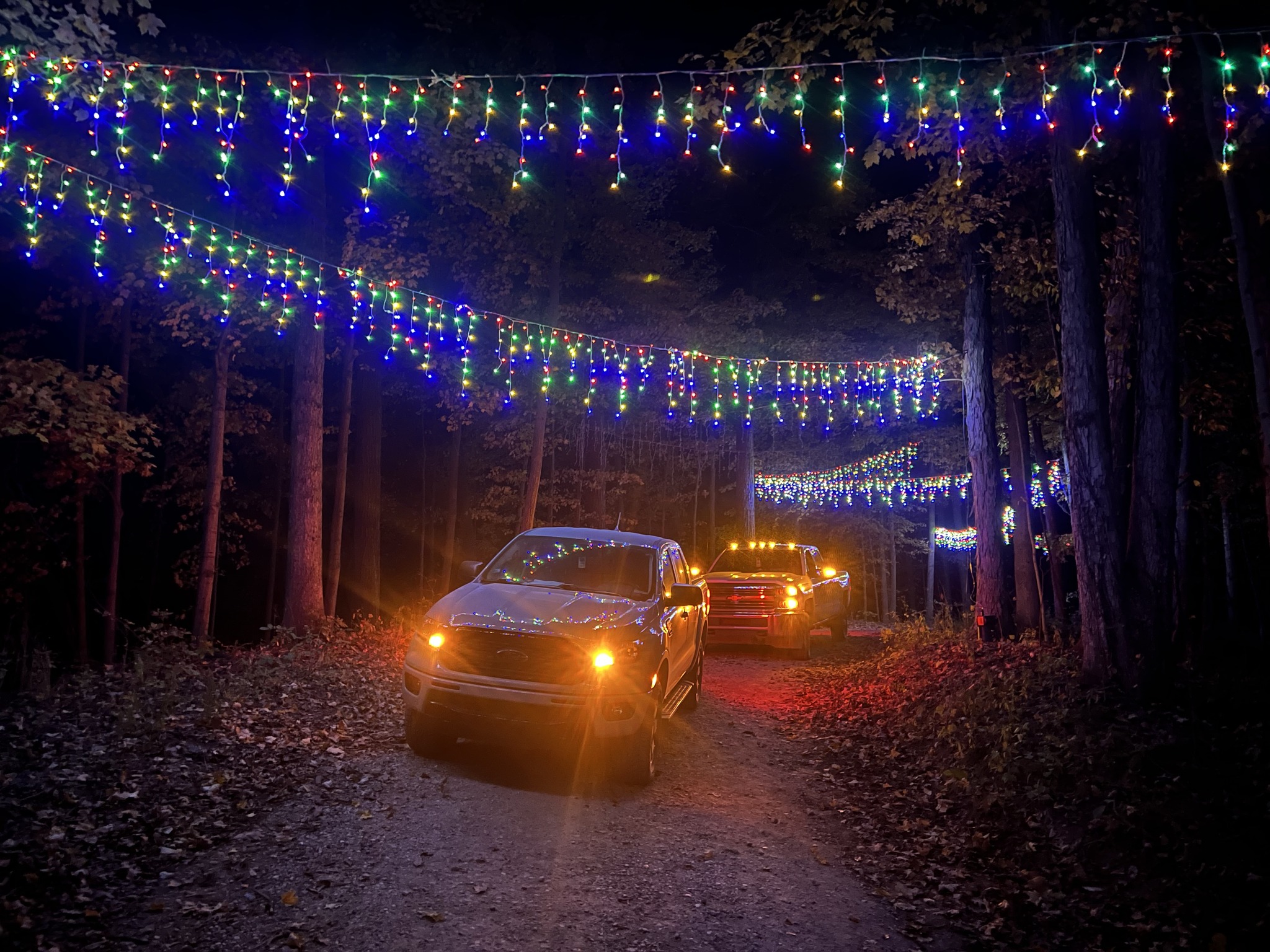 Steuben County Sparkles: Two Drive-Through Light Shows Brighten the Holidays