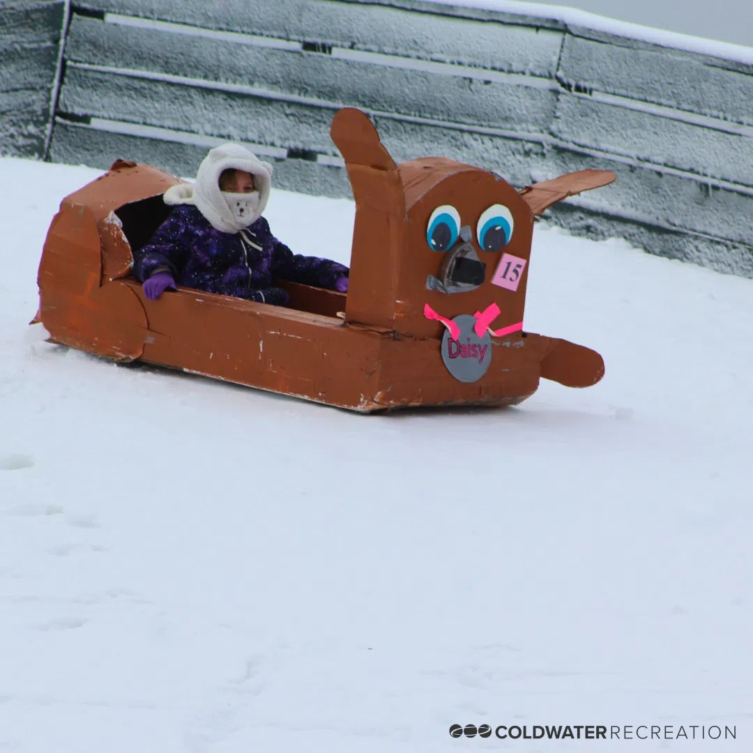 Coldwater Gears Up for Wild Ride: Cardboard Sled Races Hit Winter Fest