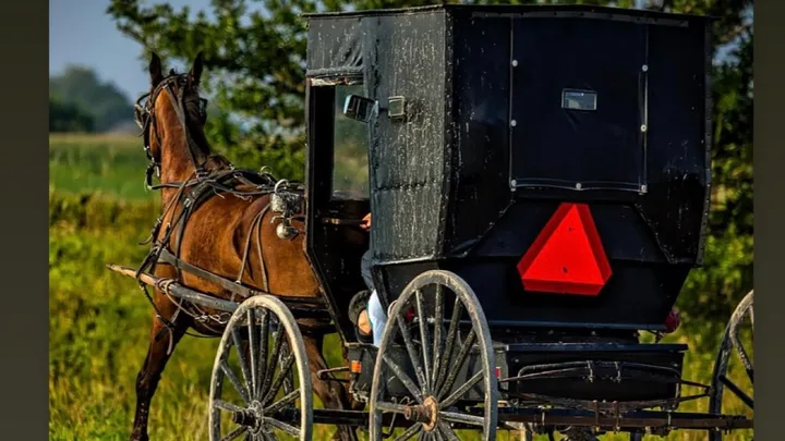 GoFundMe Launched for Amish Family After Buggy Crash