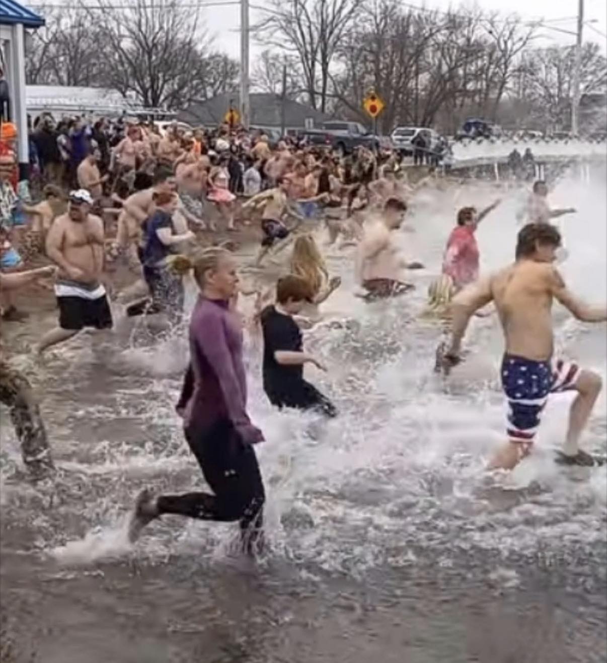 Polar Bear Plunge Returns to Hamilton Lake Today