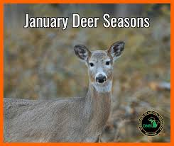 Extended Antlerless Deer Season Underway In Hillsdale And Branch Counties