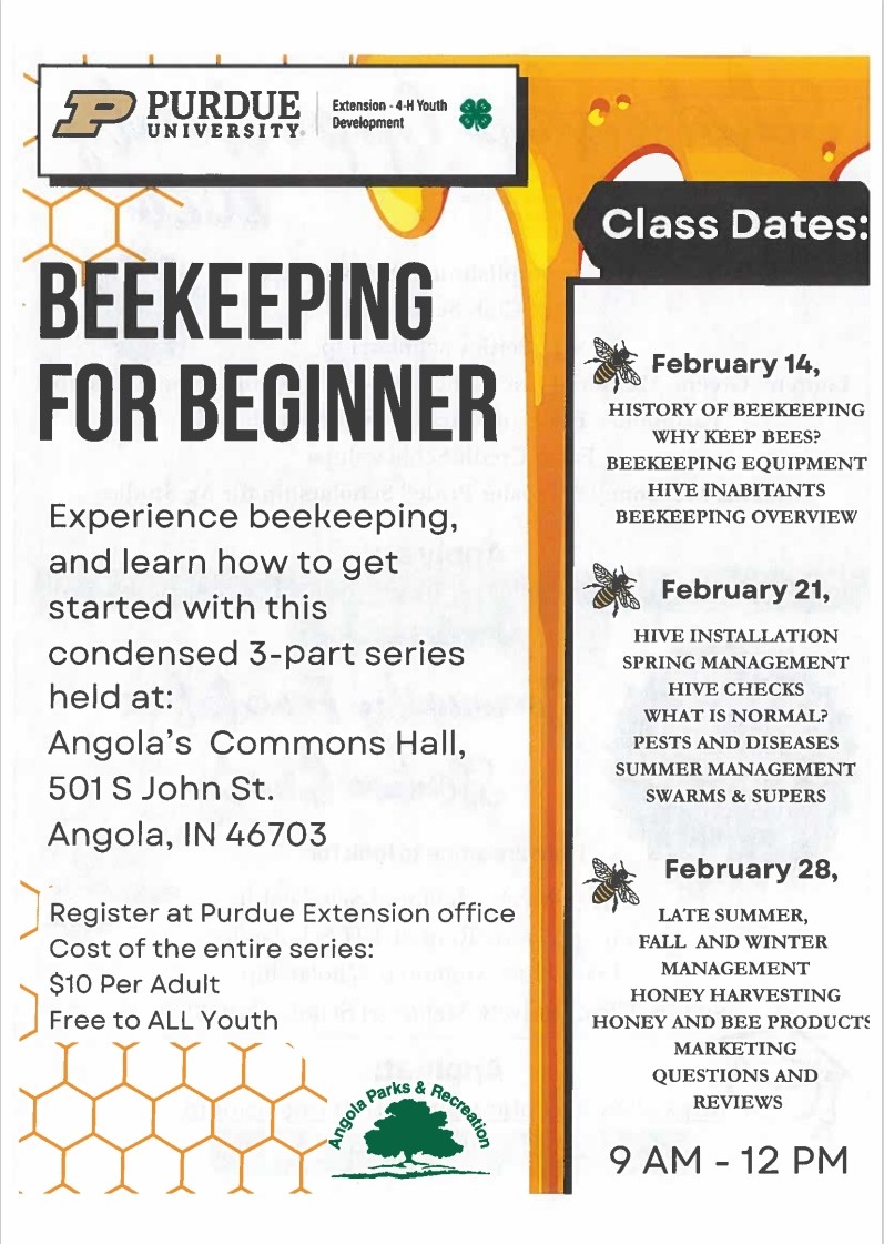 Beekeeping for Beginners Class Coming to Angola This Winter