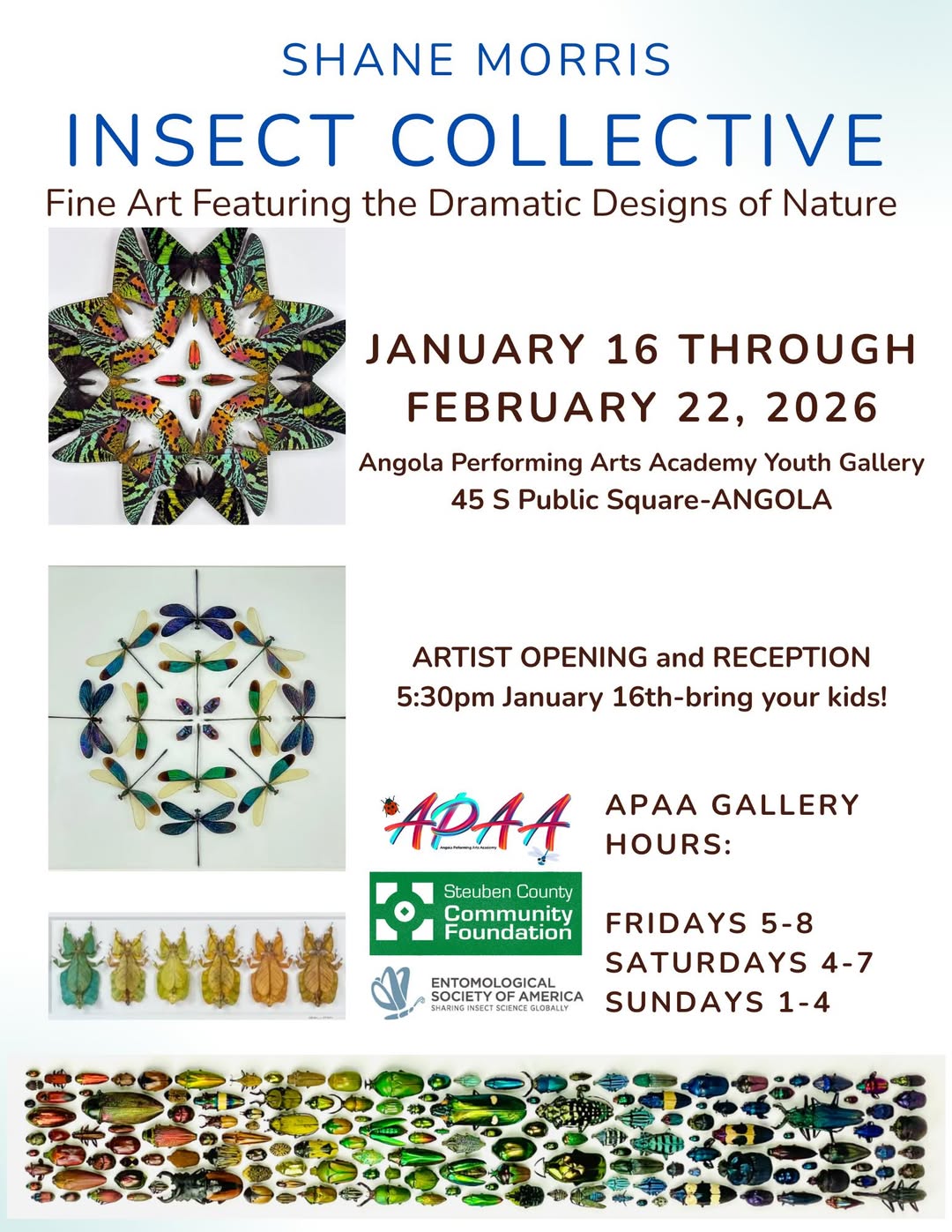 Insect Art Exhibit Opens Today at APAA Youth Gallery