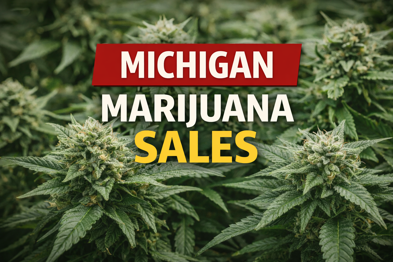 Michigan Marijuana Sales Hit Record Volume But Revenue Falls In 2025