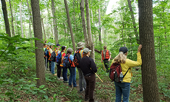 Teachers Invited to Get Their Hands Dirty in Indiana's Forests This Summer