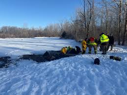Dive Team Rescues Four Horses From Icy Pond In Calhoun County