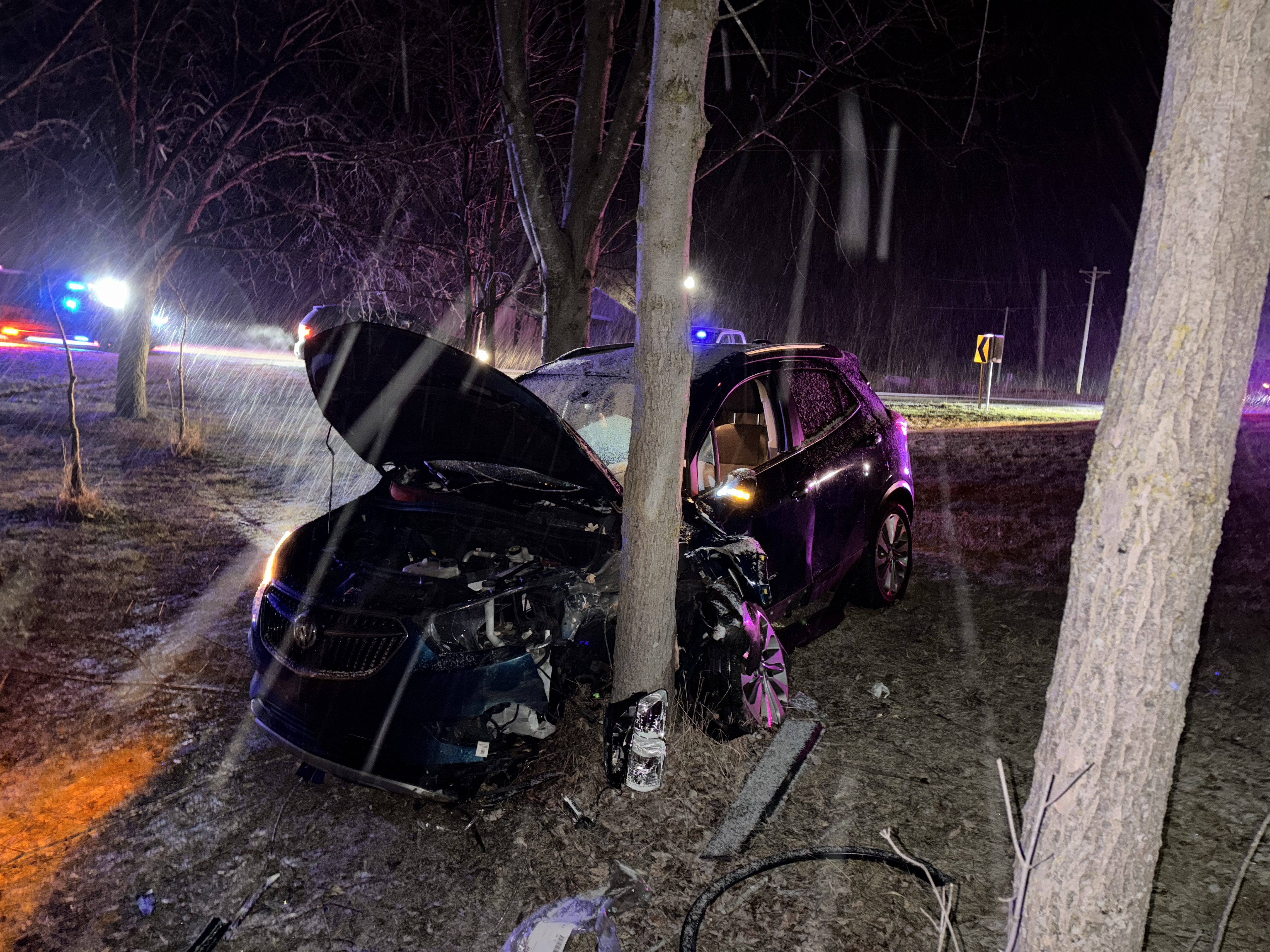 Woman hospitalized after crashing into trees in DeKalb County