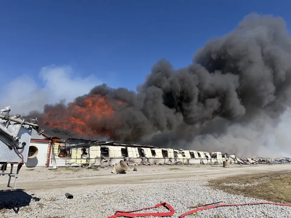 Massive Fire at Ohio Hog Farm Kills Thousands of Animals