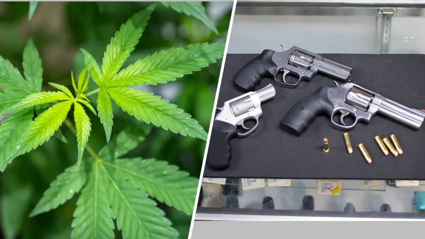 Supreme Court to Hear Case Linking Gun Rights and Marijuana Use