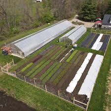 Urban Microfarm Study Clears Legislature, Heads to Governor