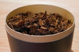 Ohio Lawmaker Proposes Legalizing Human Composting