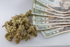 Branch County Marijuana Tax Revenue Drops in 2025