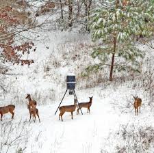 Michigan Farm Bureau Says Deer Population Control Efforts Are Falling Short