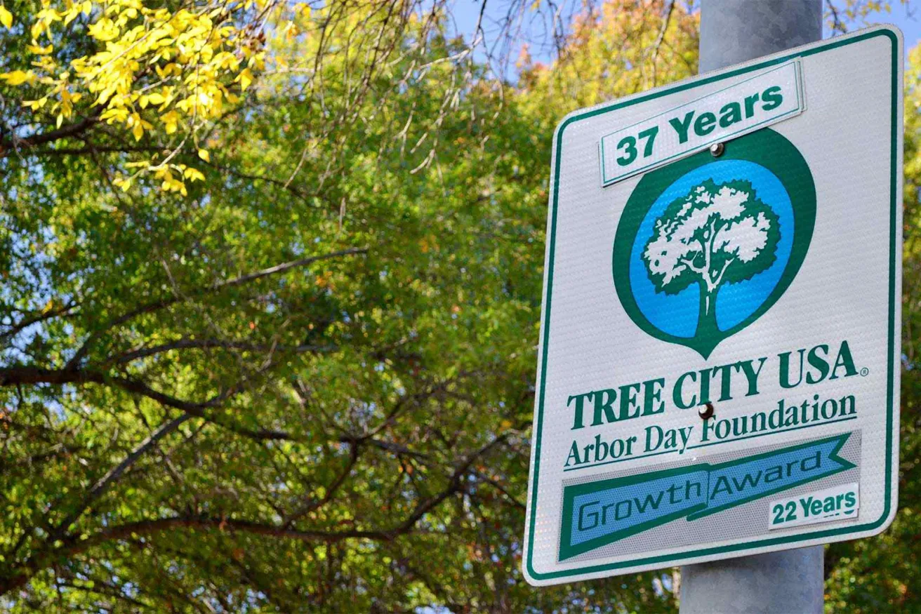 Angola Marks 37 Years as Tree City USA