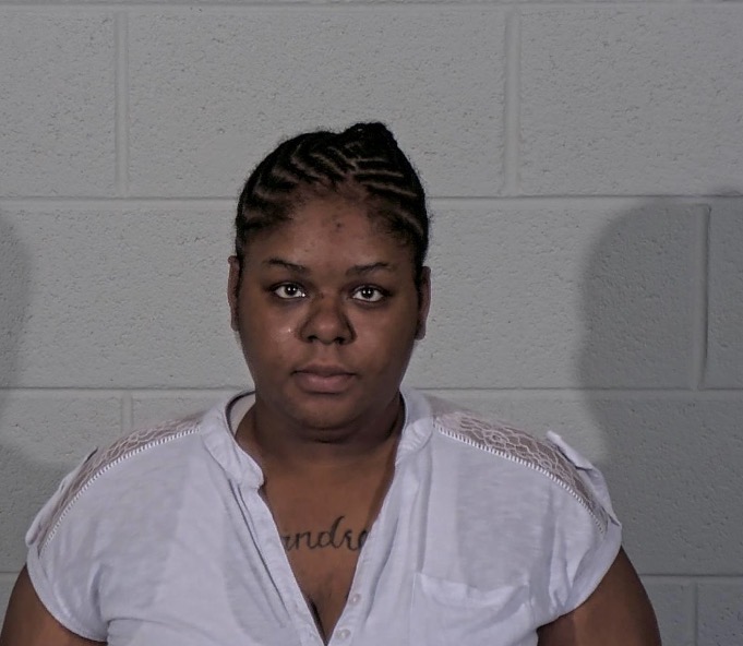 Woman Accused of Dragging Officer, 100 MPH Chase Returned to Steuben County