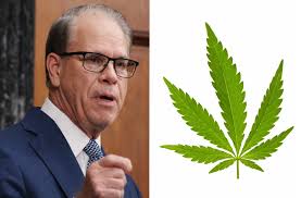 Braun Signals Marijuana Legalization May Be Revisited in Indiana