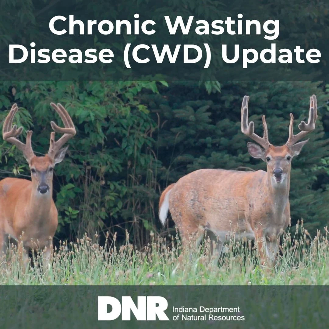 Chronic Wasting Disease Cases Confirmed in Indiana Deer Herd