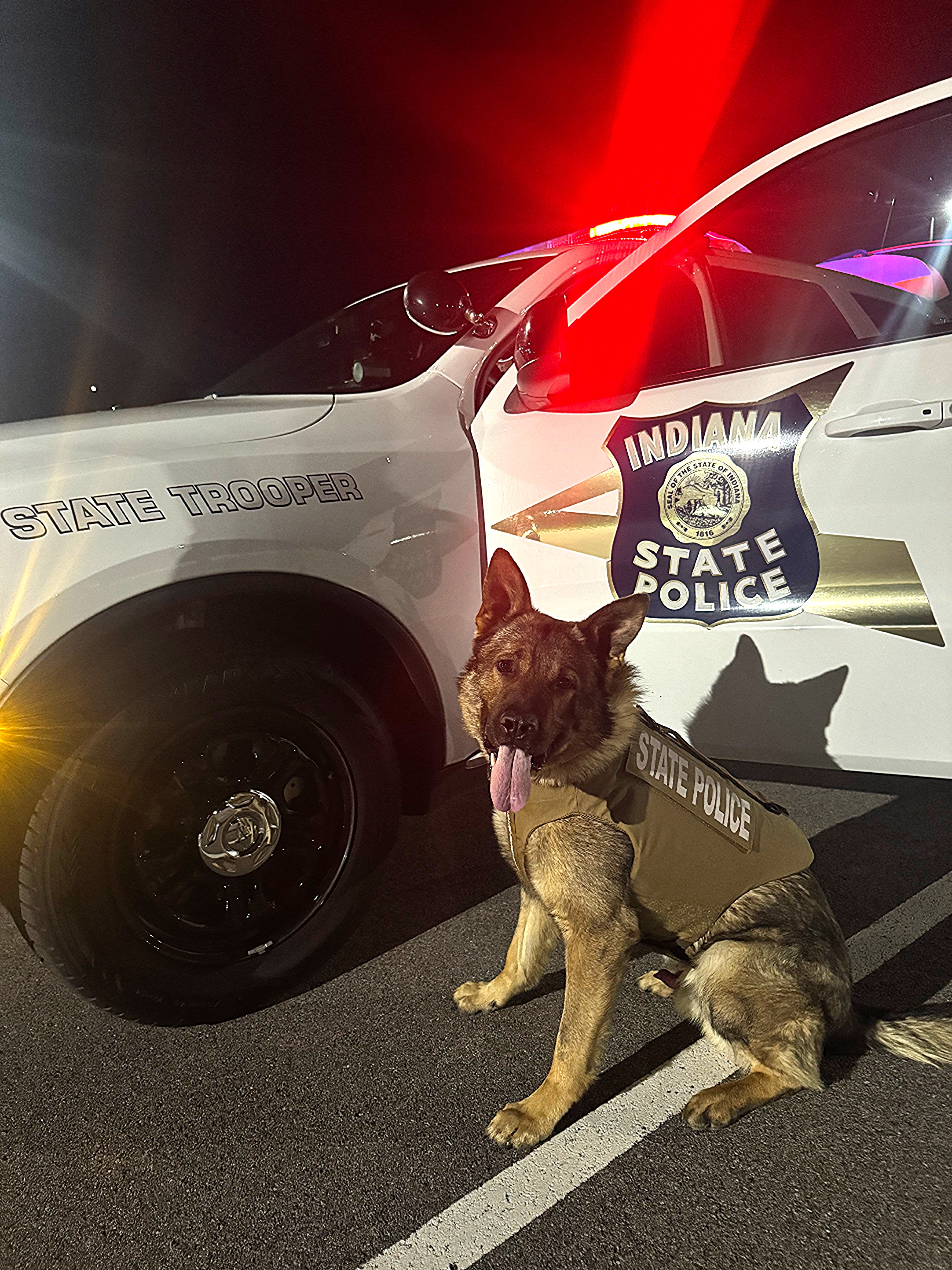 K9 Enzo Receives Protective Vest Through Donation