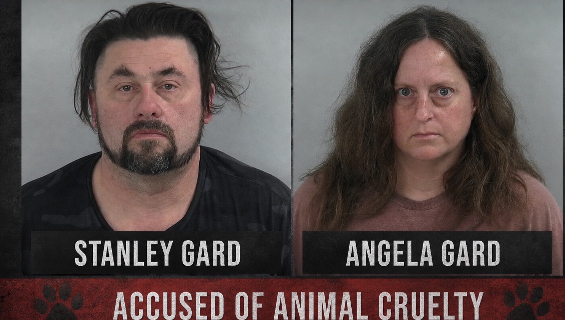 Two Arrested, Booked Into Jail After Suspected Puppy Mill Discovered In DeKalb County