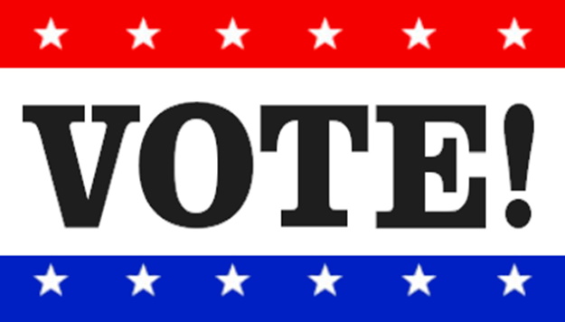 Steuben County Voters Head To Polls For Key Local And State Primary Races