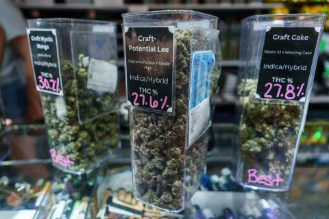 Small Michigan Marijuana Retailers Feeling Pressure From Market Changes