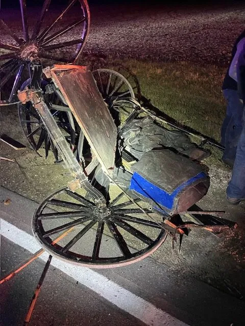 Teen Killed In Adams County Buggy Crash