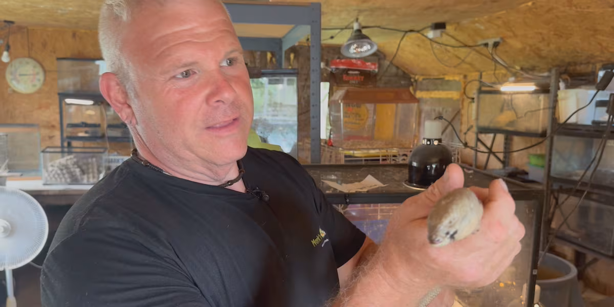Alligator Owner Defends Operation As Search Continues In Auburn