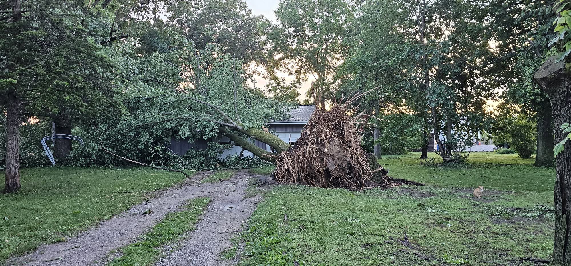 Possible Tornadoes Under Investigation After Overnight Storms