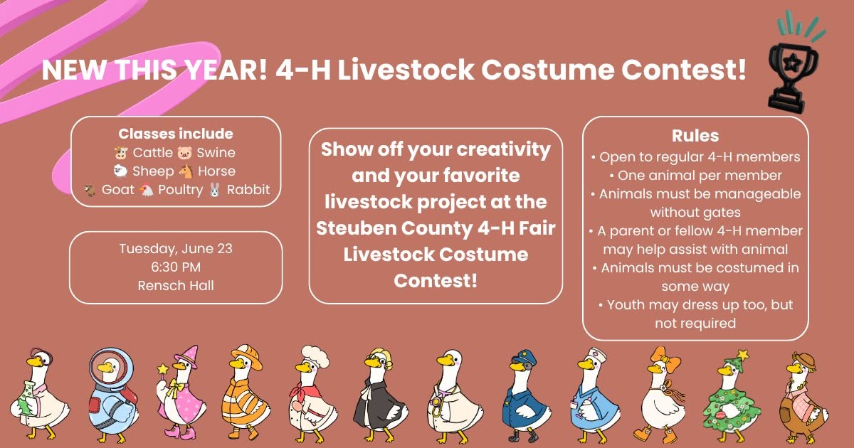 Livestock, Costumes And A Little Fair Fun Coming To Steuben County