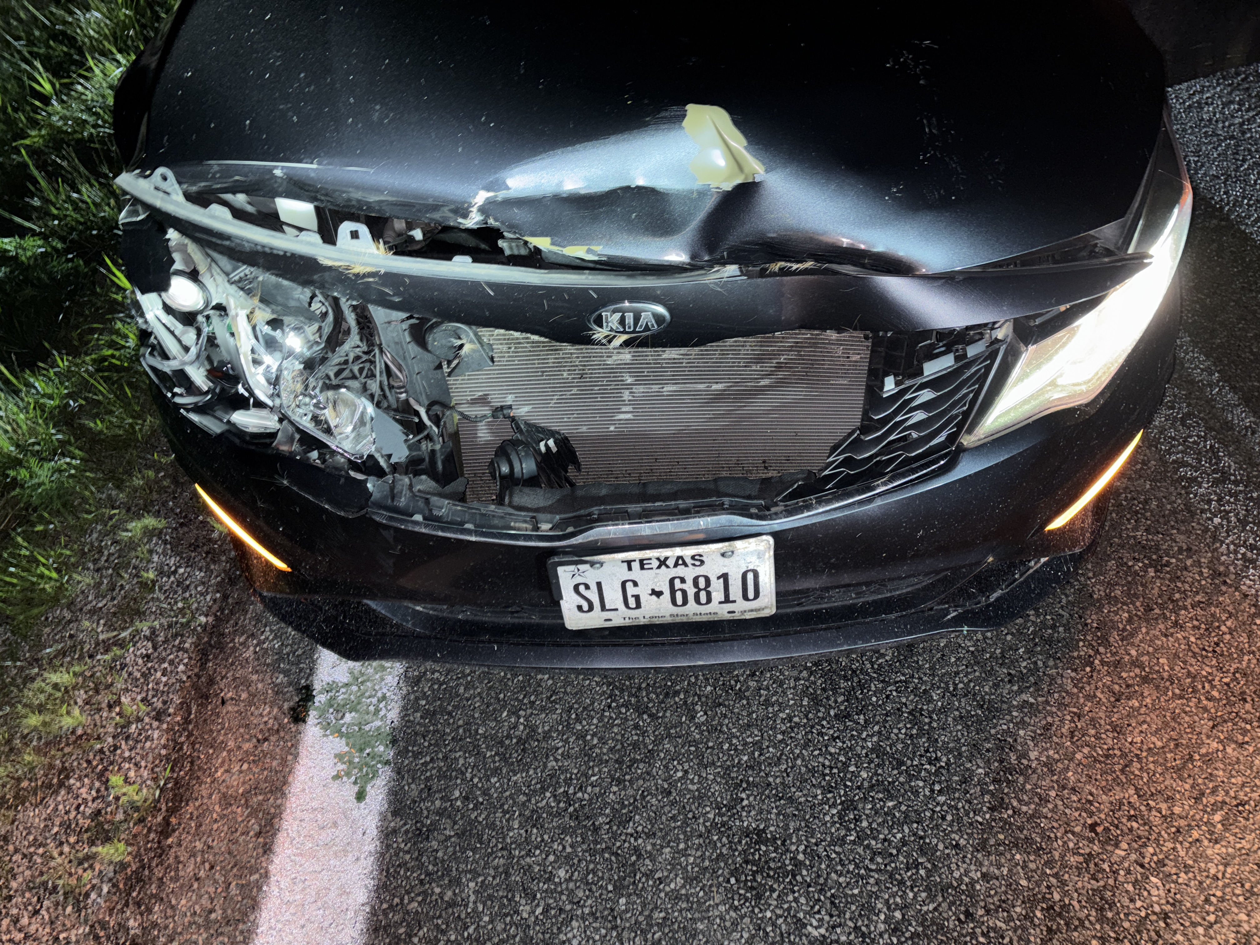 Texas Woman Injured After Deer Collision on State Road 8