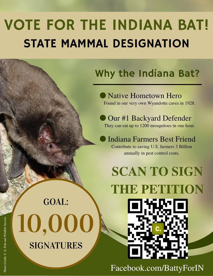 WPTA: Petition Seeks To Make Indiana Bat The State's Official Mammal