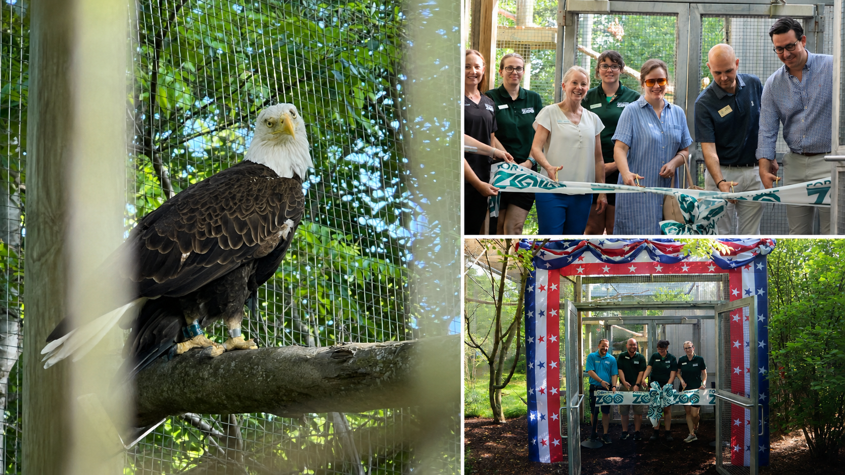 Fort Wayne Zoo Opens New Bald Eagle Exhibit
