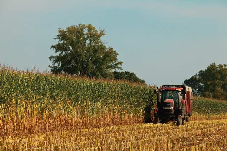 Congress Considering Another $11 Billion In Aid For Farmers