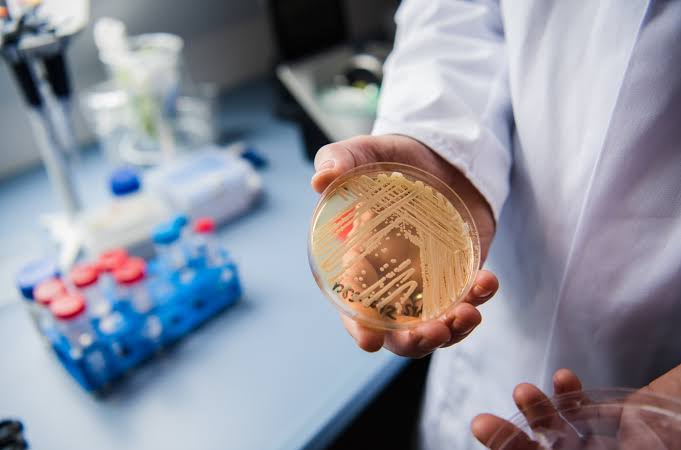Drug-Resistant Candida Auris Fungus Confirmed In 23 States