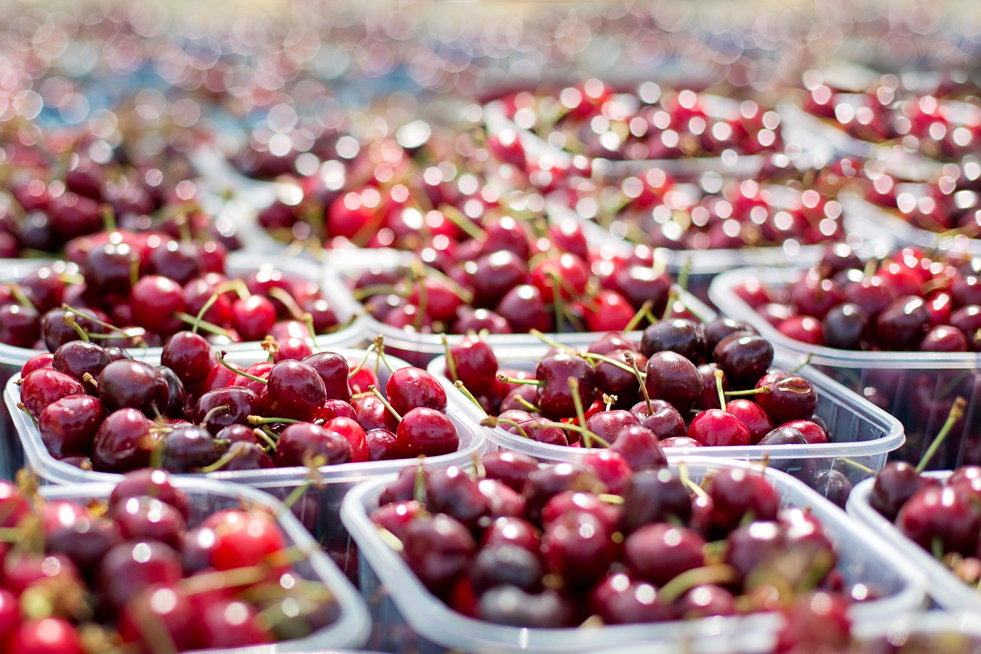 USDA Encourages Americans to Support Local Farmers During National Farmers Market Week