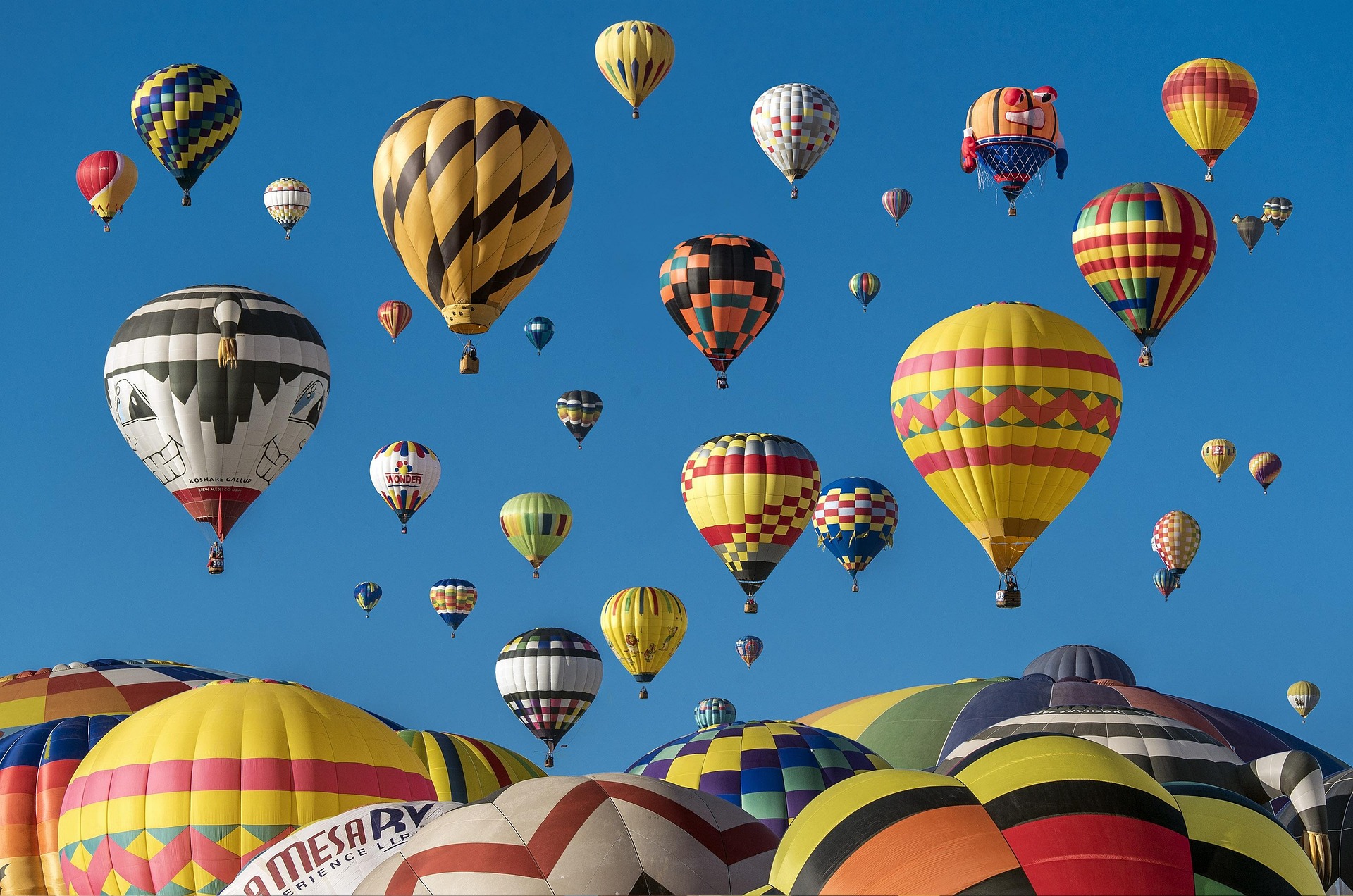 Hot Air Balloons, Cheerleading and Live Music Highlight Today's Indiana State Fair
