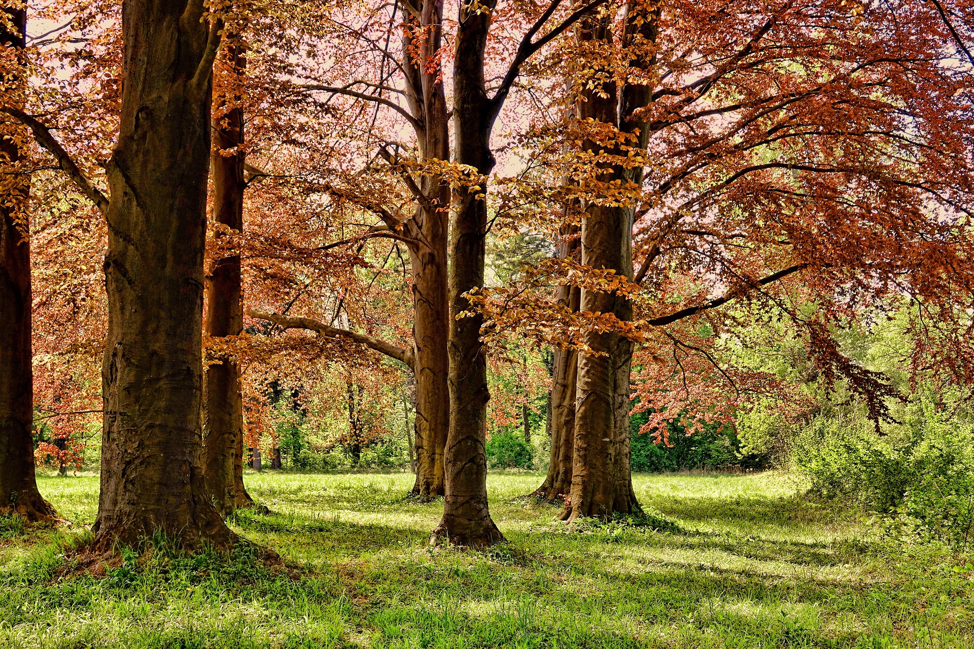 Angola Invited to Pursue Park Planning, Improvement Grants