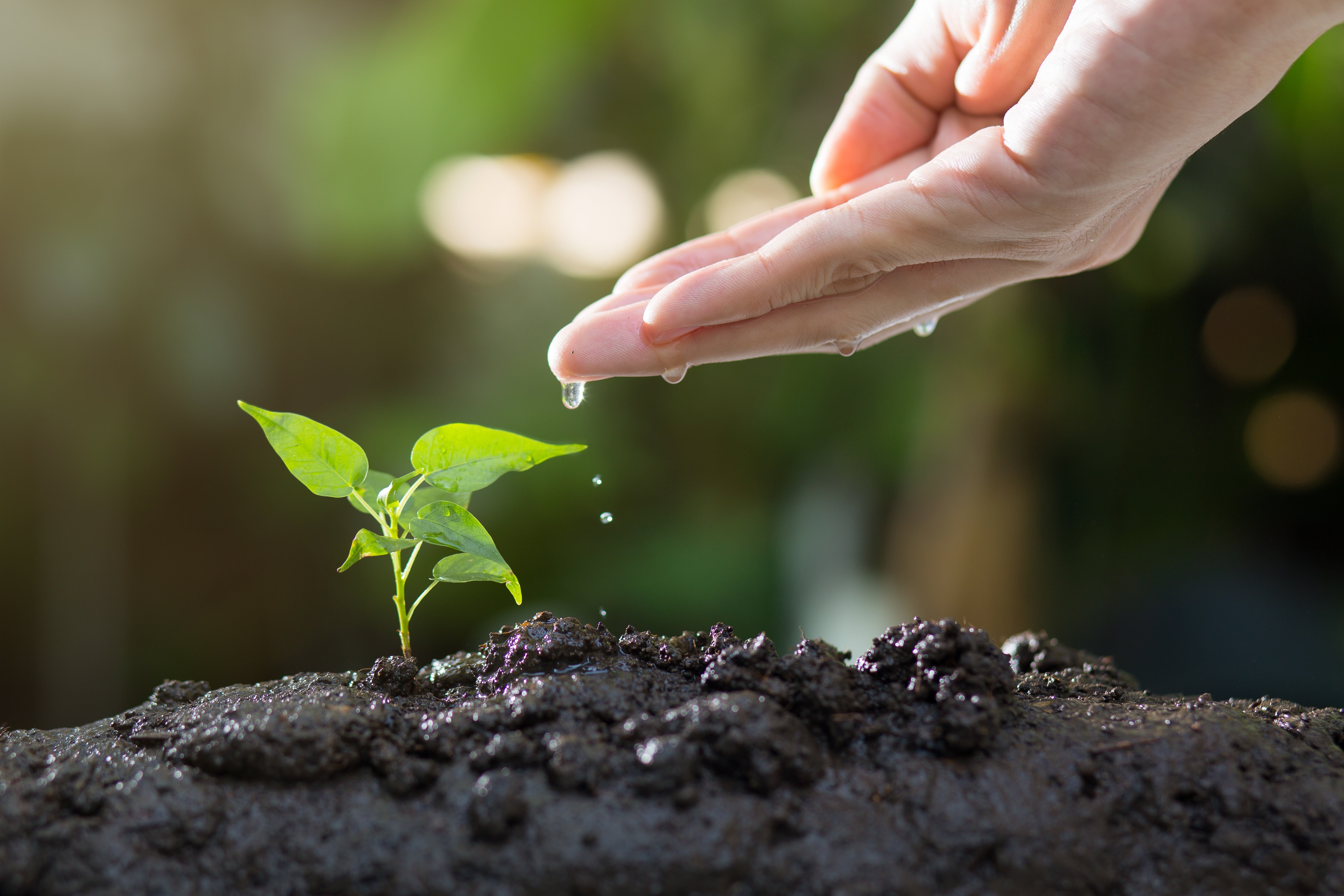 Steuben County Soil And Water Conservation District Urges Fall Steps To Protect Soil And Water