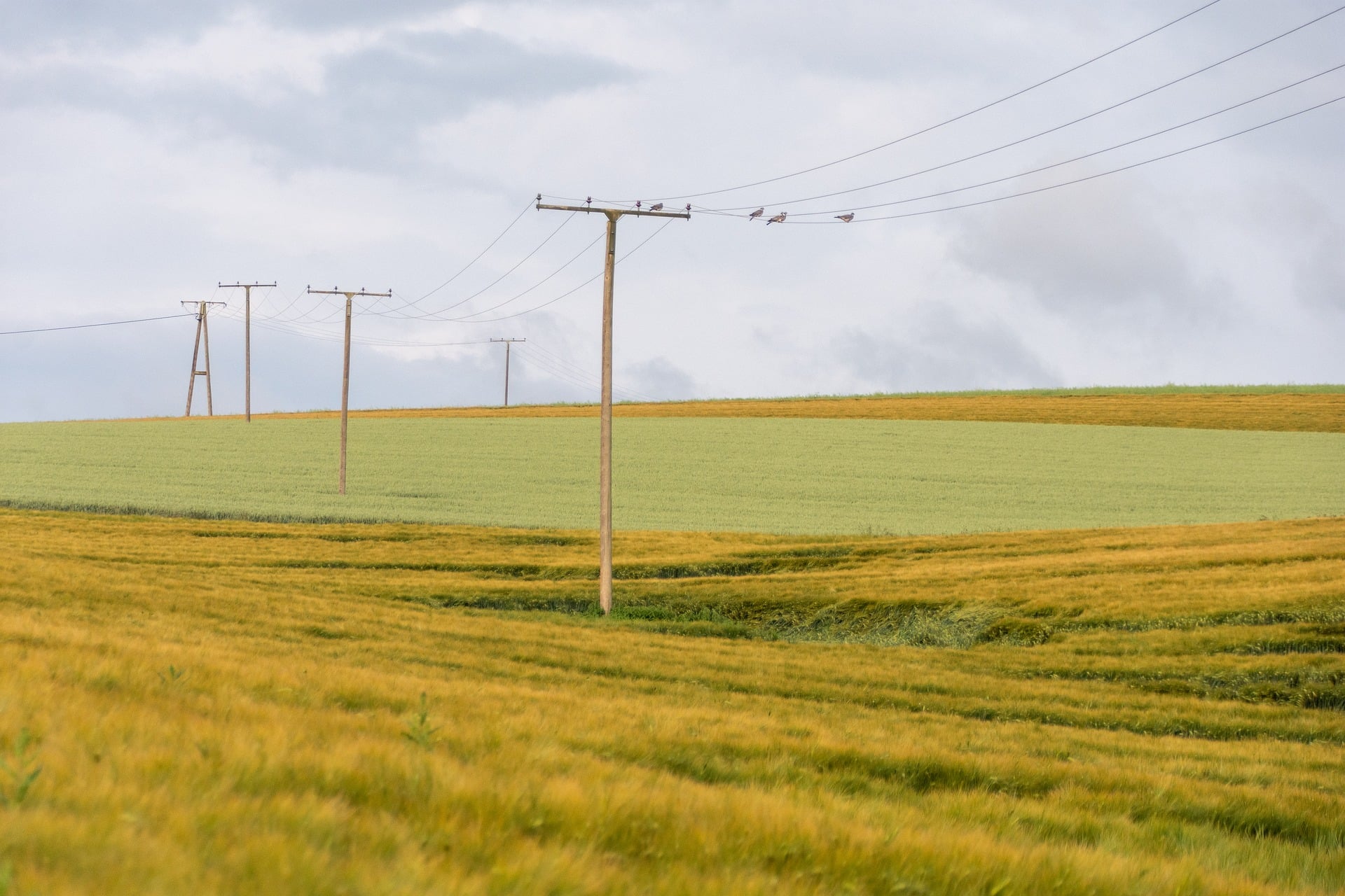 Proposed ITC Transmission Project Could Cross Branch County