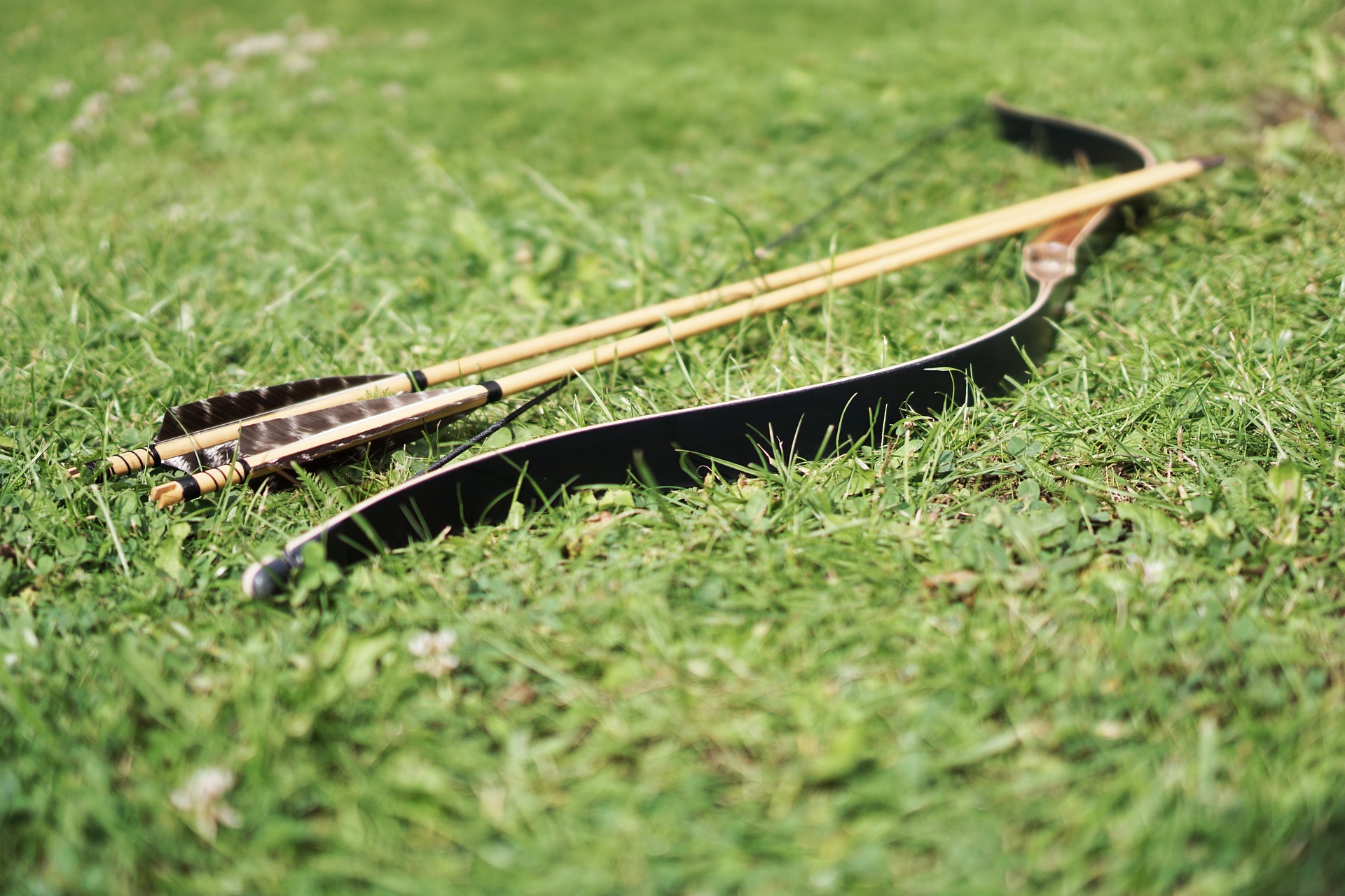 Hunter Shot By Errant Round Raises Safety Concerns In Michigan